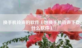 换手机铃声的软件（想换手机铃声下载什么软件）