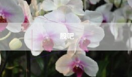 股吧