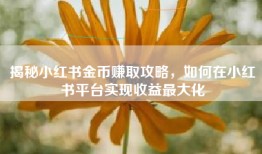 揭秘小红书金币赚取攻略，如何在小红书平台实现收益最大化