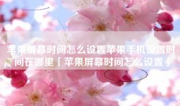 苹果屏幕时间怎么设置苹果手机设置时间在哪里「苹果屏幕时间怎么设置」