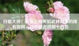 白眉大侠：武圣于和死后武林高手的排名如何，徐良能否进前十四名