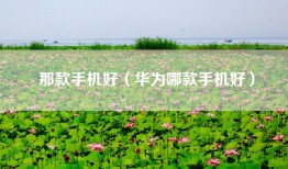 那款手机好（华为哪款手机好）