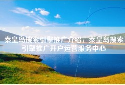 秦皇岛搜索引擎推广介绍，秦皇岛搜索引擎推广开户运营服务中心