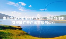 秦皇岛搜索引擎推广介绍，秦皇岛搜索引擎推广开户运营服务中心