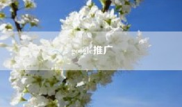 google推广
