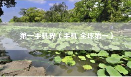 第一手机界（手机 全球第一）
