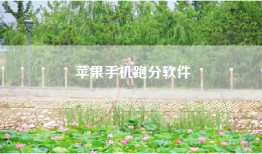 苹果手机跑分软件