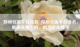 郑州引流平台排名_郑州引流平台排名，解锁流量密码，助力企业腾飞