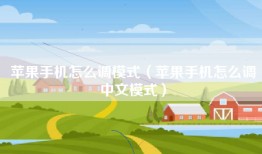 苹果手机怎么调模式（苹果手机怎么调中文模式）