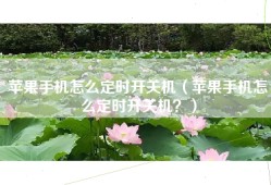 苹果手机怎么定时开关机（苹果手机怎么定时开关机？）