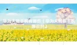 华为大屏手机有哪些（华为大屏幕手机哪款好）