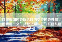 陕煤集团团委联合陕西交控团委开展“团青相‘交’共赴‘煤’好”联建共建活动