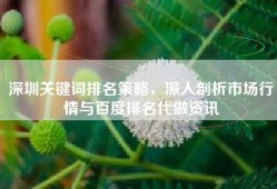 深圳关键词排名策略，深入剖析市场行情与百度排名代做资讯