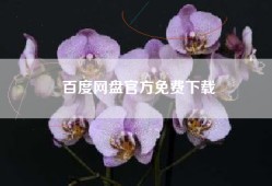 百度网盘官方免费下载