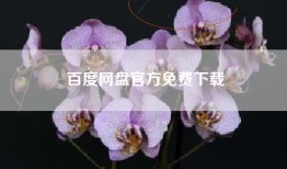 百度网盘官方免费下载