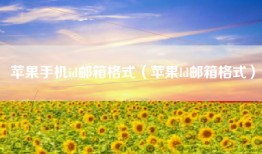 苹果手机id邮箱格式（苹果ld邮箱格式）