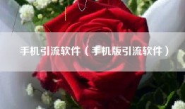 手机引流软件（手机版引流软件）