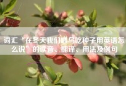 词汇“在冬天我们喂鸟吃种子用英语怎么说”的读音、翻译、用法及例句
