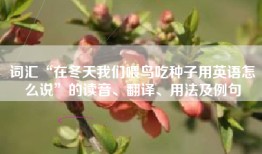 词汇“在冬天我们喂鸟吃种子用英语怎么说”的读音、翻译、用法及例句