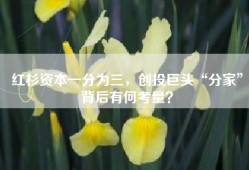 红杉资本一分为三，创投巨头“分家”背后有何考量？