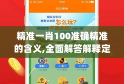 精准一肖100准确精准的含义,全面解答解释定义_特别款3.247