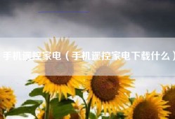 手机遥控家电（手机遥控家电下载什么）