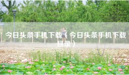 今日头条手机下载（今日头条手机下载目录）