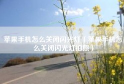 苹果手机怎么关闭闪光灯（苹果手机怎么关闭闪光灯拍照）