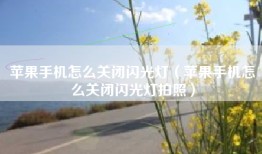 苹果手机怎么关闭闪光灯（苹果手机怎么关闭闪光灯拍照）