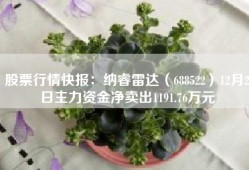 股票行情快报：纳睿雷达（688522）12月2日主力资金净卖出1191.76万元