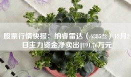 股票行情快报：纳睿雷达（688522）12月2日主力资金净卖出1191.76万元