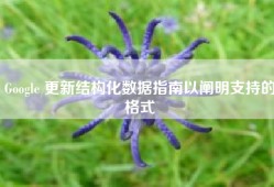 Google 更新结构化数据指南以阐明支持的格式