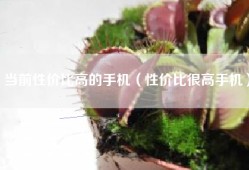 当前性价比高的手机（性价比很高手机）