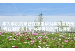 华为手机的录音在哪里华为手机通话录音在哪里找「华为手机的录音在哪里」