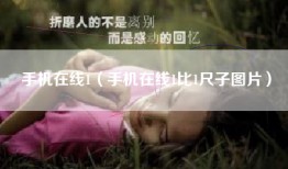 手机在线1（手机在线1比1尺子图片）