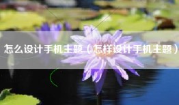 怎么设计手机主题（怎样设计手机主题）