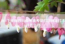 2021下半年四川省考准考证打印网址打不开怎么办