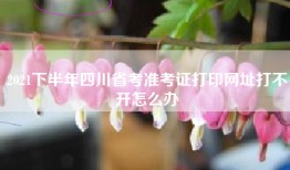 2021下半年四川省考准考证打印网址打不开怎么办