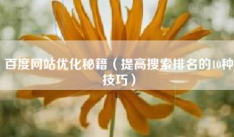 百度网站优化秘籍（提高搜索排名的10种技巧）