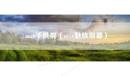 mx6手机屏（mx6魅族屏幕）