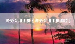 警务专用手机（警务专用手机图片）