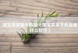 淘宝卖家版手机版（淘宝卖家手机版是什么软件）