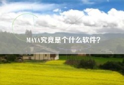 MAYA究竟是个什么软件？