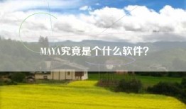 MAYA究竟是个什么软件？