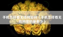 手机怎样看无线网密码（手机怎样看无线网密码是多少）