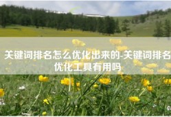 关键词排名怎么优化出来的-关键词排名优化工具有用吗