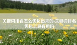 关键词排名怎么优化出来的-关键词排名优化工具有用吗