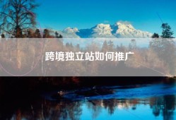 跨境独立站如何推广