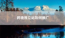 跨境独立站如何推广