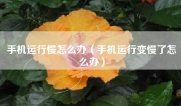 手机运行慢怎么办（手机运行变慢了怎么办）